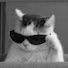 a7dCH969y34-channel-avatar-ManeGamer_