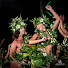 DM7pKgp6w5Q-channel-avatar-ORI TAHITI TUMATA 