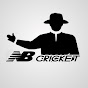 NB Cricket  logo