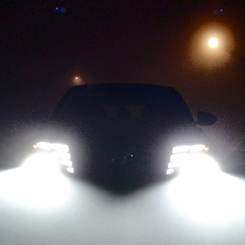 The trails. 