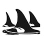 Orca Conservancy logo