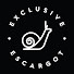 PZnjYmr1o-E-channel-avatar-Exclusive Escargot - Our Snail Farming Story