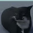 mRcoGrnVJDg-channel-avatar-SlowerThanYoMama2.4