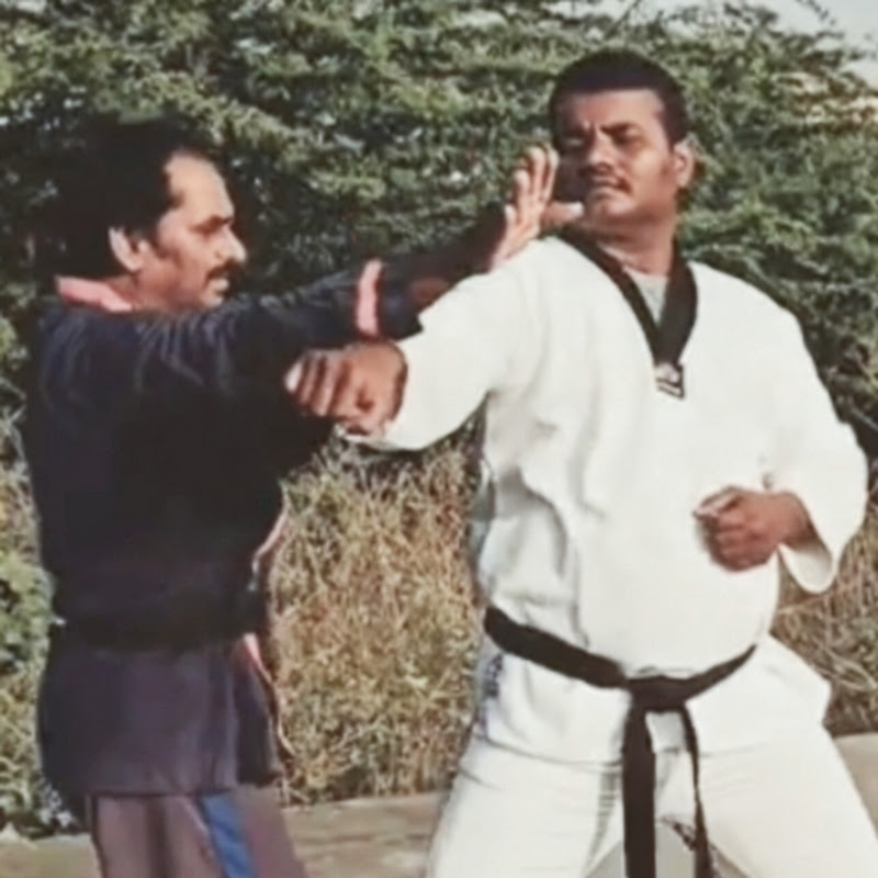 Dayasankar Martial Arts avatar