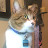 @rumplestilsquat7942 Avatar