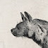 C5lLivTNcvg-channel-avatar-HYENA art magazine