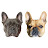 Isa, Hugo & Tom French Bulldog