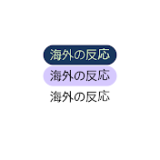 にほんのチカラ-海外の反応