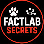 FactLab Secrets logo