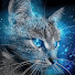 sUFn9MNRSrQ-channel-avatar-Tabby Blue 🐾
