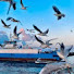 IUh5KBFmhM8-channel-avatar-Lali Travel