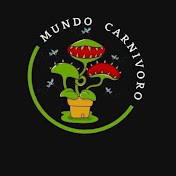 MUNDO CARNÍVORO YOPAL
