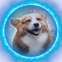 Happy Dog avatar