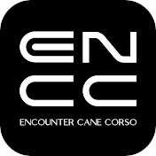 Encounter Cane Corso