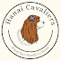 -ZEcIO60f4Q-channel-avatar-Hanai Cavaliers