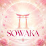 2AFKVmoJzEg-channel-avatar-SOWAKA  channel   