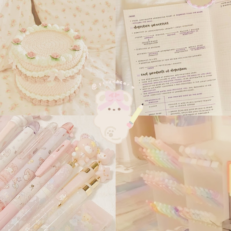studybear ♡
