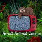 Small Animal Corner