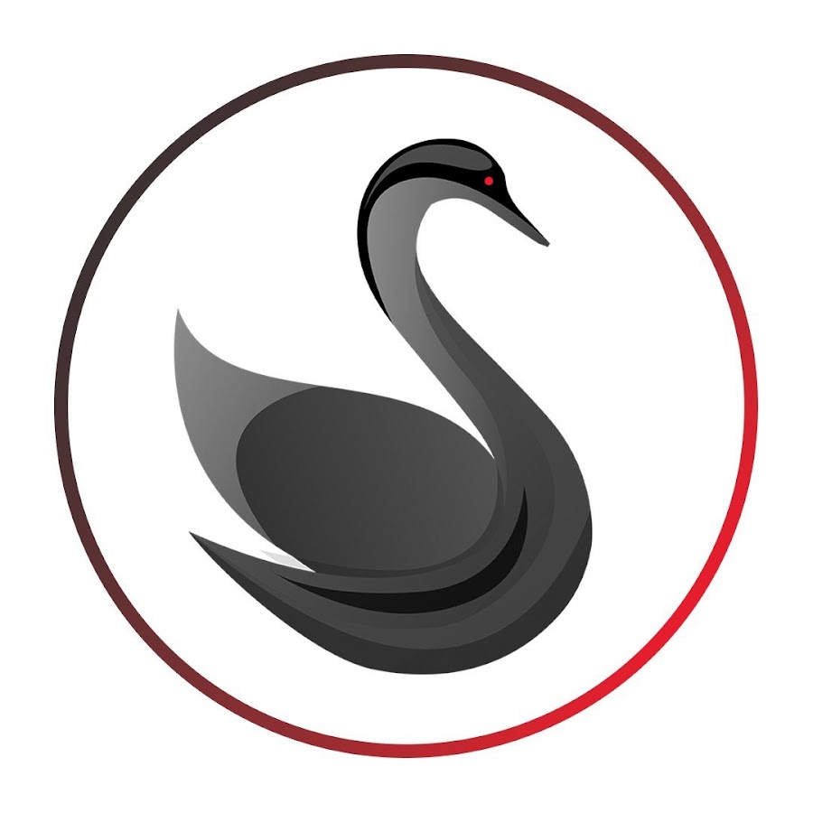 Black swan on forex forex law