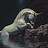 @PunitAhrodia Avatar