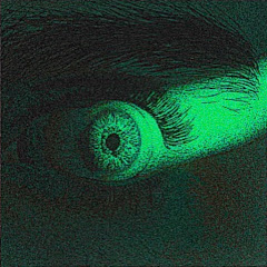 skyeye