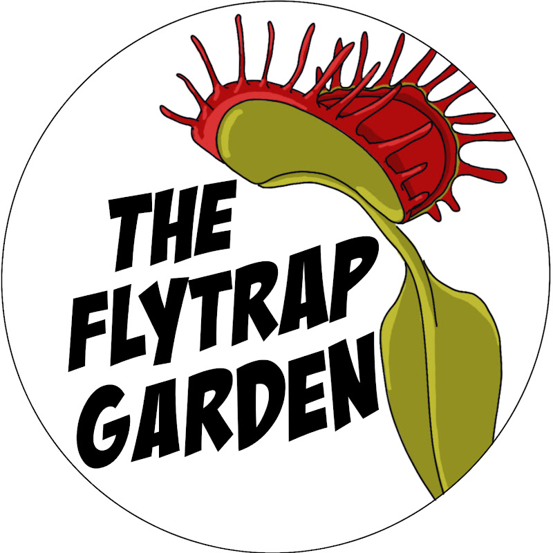The Flytrap Garden