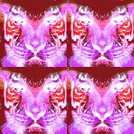 thumbnail img1x1
