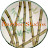 Bamboo Studios™
