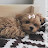 @행복한꼬미-m8r