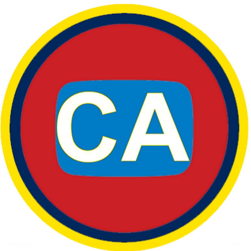 Critical Analysis876