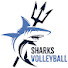 0bjZM4qtuDk-channel-avatar-Sharks Volleyball