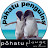 Pōhatu penguins