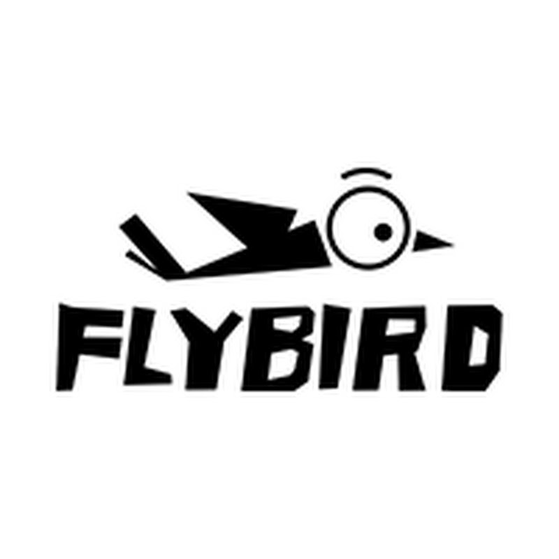 Flybird Fit
