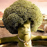 0oyotp2YdRw-channel-avatar-BlessedBLSS