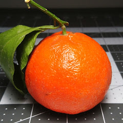 citrus channel logo