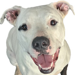 CharlieB_Bizarroville Avatar