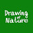 Drawing of Nature / DN ART
