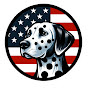 PSD-USA logo