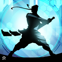 Shadow Arena