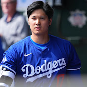 MLB Fans