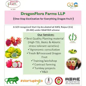 DragonFlora Farms YouTube channel