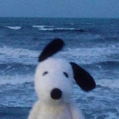 ⌗ ! •𝙈𝙞𝘬𝘦𝘺_99• !