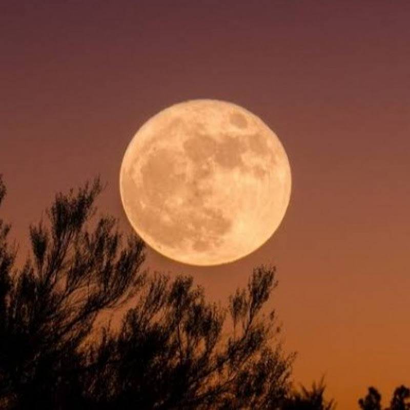 Moonziclay Editz 🌕