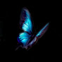 Destined Dynamics Avatar
