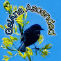 GaiAna Ascended  Avatar