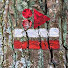 fSIGBehDlbQ-channel-avatar-Surfano