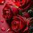@MinaAss-g6w