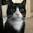 @Tibbles-h4m Avatar