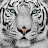 White Tigress Taoism - Youth + S3x Energy
