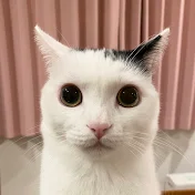 まつもとたける